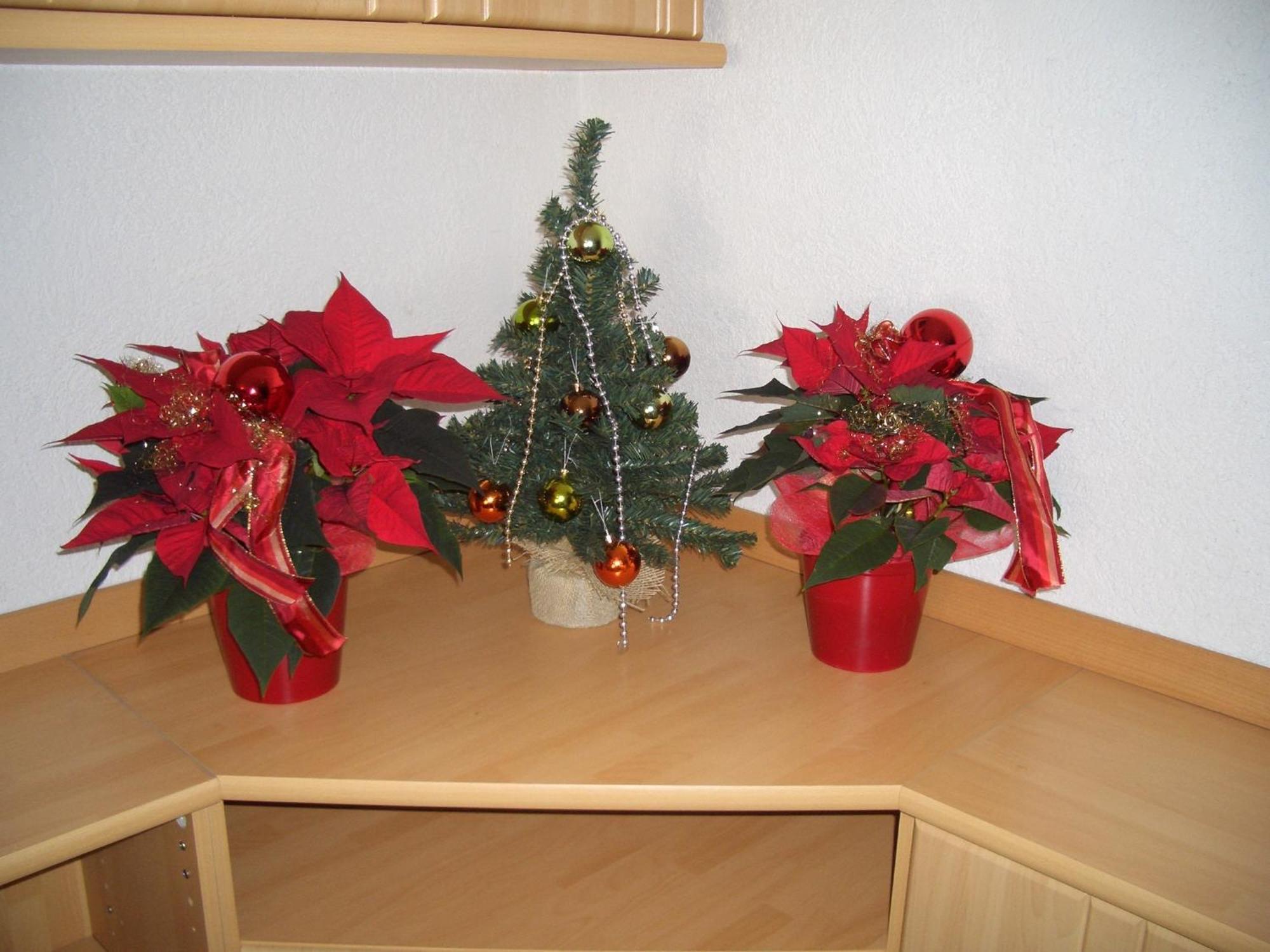 Apartment Apart Ritzl